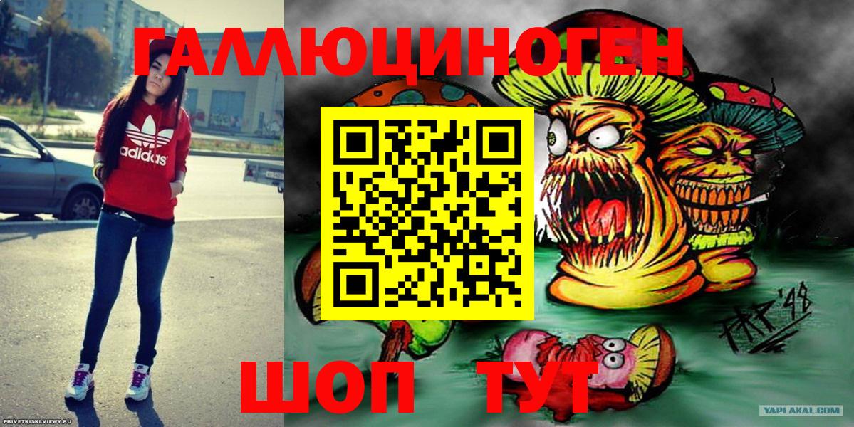 Псилоцибиновые грибы Psilocybe Анжеро-Судженск