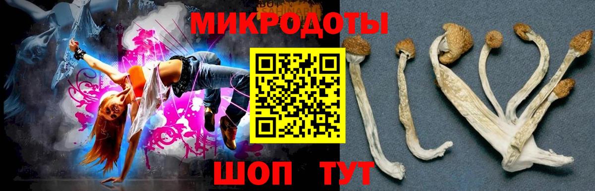 Анжеро-Судженск  Галлюциногенные грибы Psilocybe  Вход с VPN 